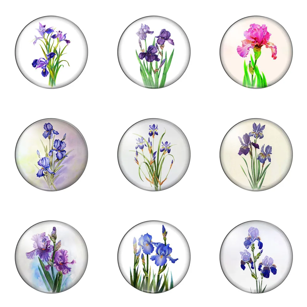 Beauty Flower Blue Violet Iris  Round Photo Glass Cabochon Demo Flat Back Making Findings Handmade DIY Accessories