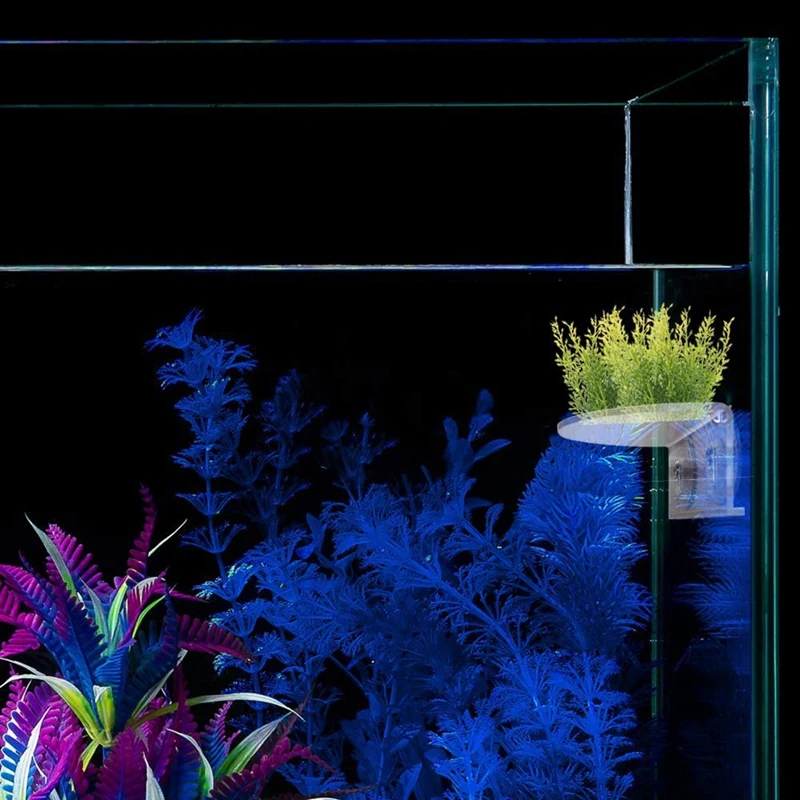 

Ledge Suction Cup Window Shelf Acrylic Plant Window Shelf Indoor Window Plant Shelf for Creating Indoor Plants Garden