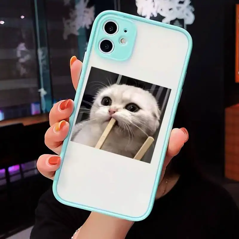 

Cute Cat Phone Cases Matte transparent For blue iPhone 12 Mini 11 Pro XR XS Max 7 8 Plus X Back Cover