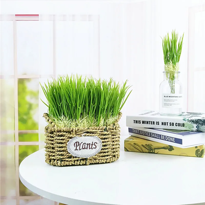 

Wholesale 50PCS Artificial Onion Grass Plastic Mini Plants Handmade DIY Crafts Garden Wedding Balcony House Decoration Props