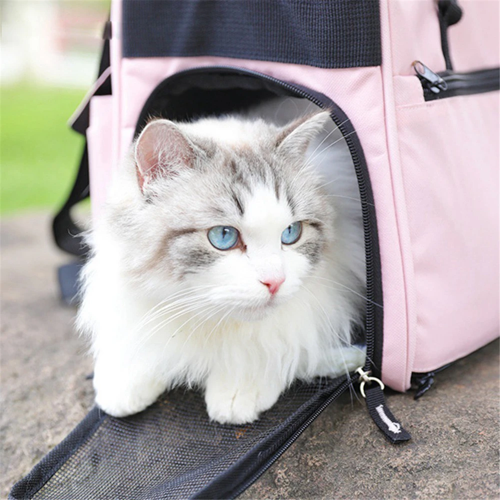

Breathable Mesh Outing Travel Cat Bag Carrying Shoulder Canvas Hadbag Foldable Cats Cage Pet Carrier for Small Dog Puppy Carrier