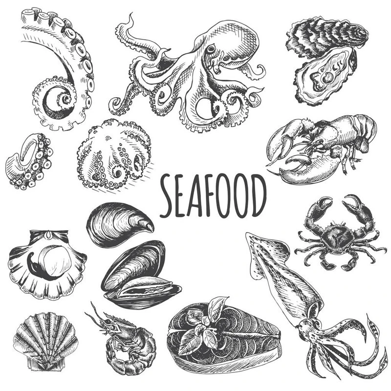 

New 2021 Make Variety Food Stamps Seafood Octopus Shell Fish Scrapbooking Paper Background Frame Card Craft No Cutting Die