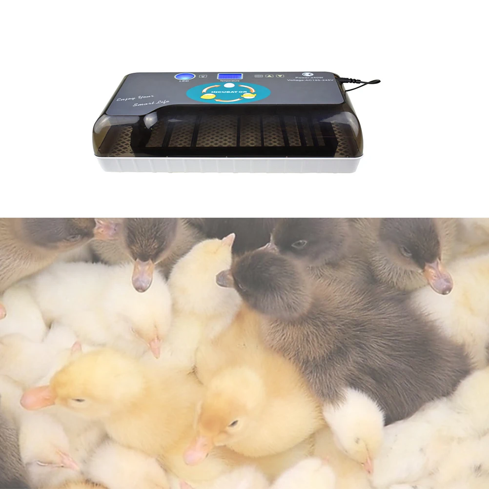 

Brooder Hatchery Digital Egg Incubator Automatic Incubatores with LED Display andTemperature Control Farm Hatching Duck Bird Egg