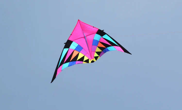 Большой Радужный воздушный змей windsock delta ручка линия Рипстоп нейлон летающий змей из ткани фабрика серфинга Орел воздушный змей Летающий Осьминог игрушка