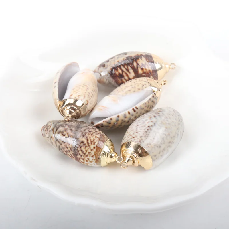 Золотое покрытие Аквариум Пляж морской DIY раковины красочные природные ракушки
