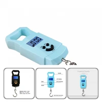 accurately weighing mini multifunctional handheld stable fishing scale for angling