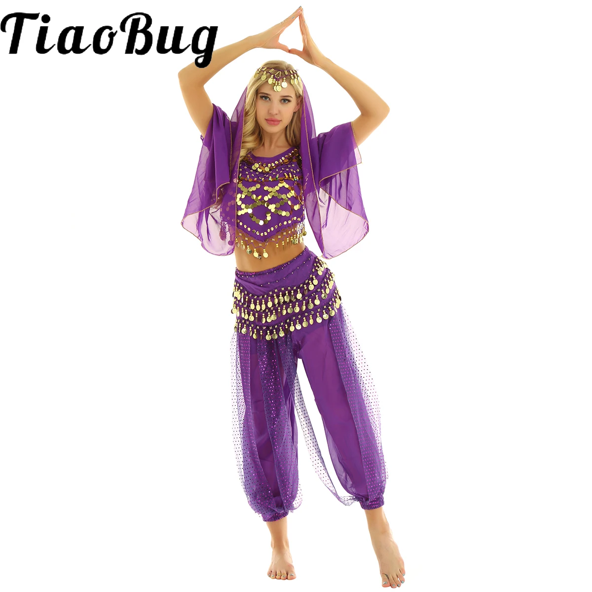 

TiaoBug Women Halloween Carnival Egypt Belly Dance Costume Bollywood Indian Dancing Dress Stage Performance Chiffon Sari Sets