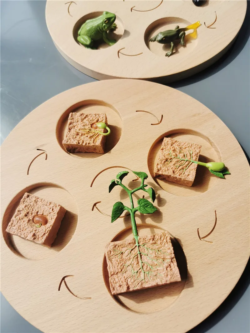 Детская деревянная игрушка Монтессори из бука доска для вычитывания жизненного