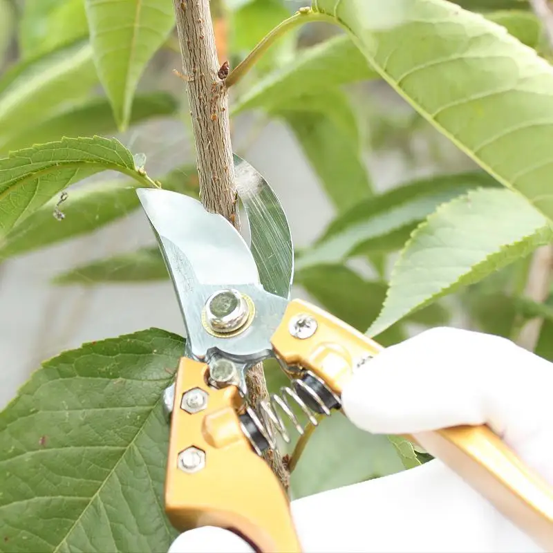 Садовые ножницы 8 дюймов садовые | Инструменты