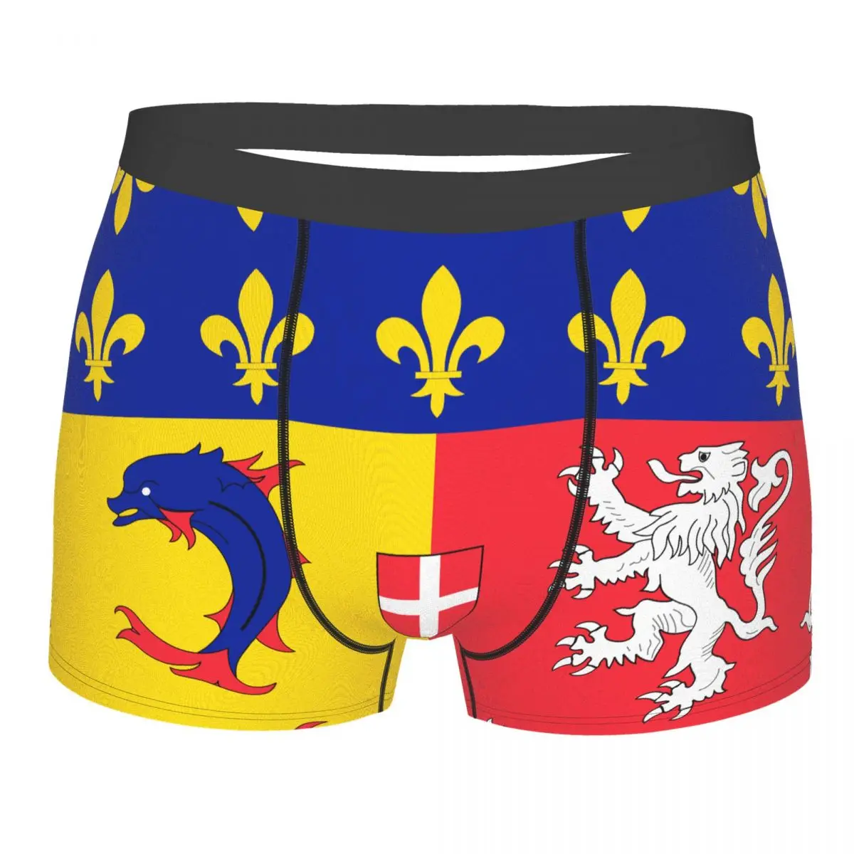 

Lag Of Rhône-Alpes Men's Boxer Briefs Flags of the regions of France Graphic elastic pants for men