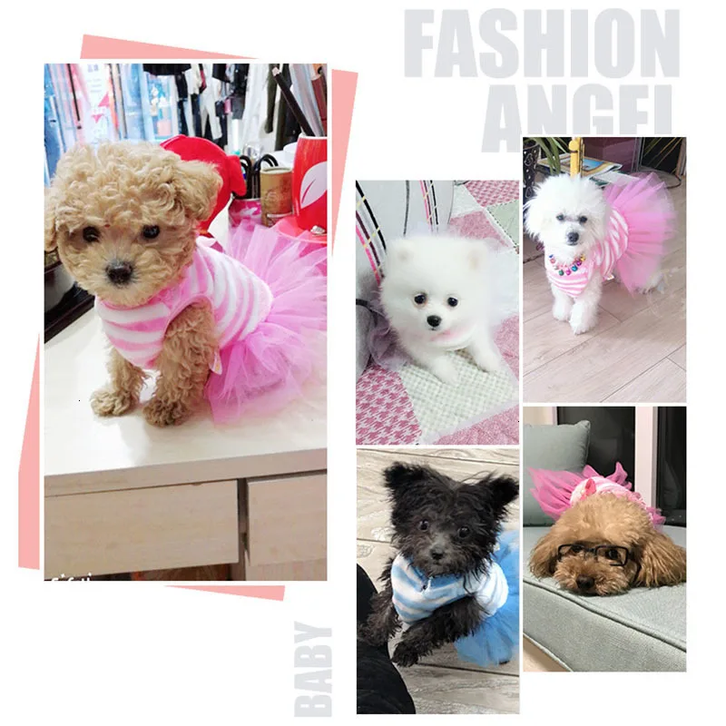 Pawstrip мягкий, флисовый, для собаки платье зимняя одежда для собак с бантом платье принцессы пачка для собак юбка Тедди, йоркширского терьера, маленькая собака пальто XS-XL