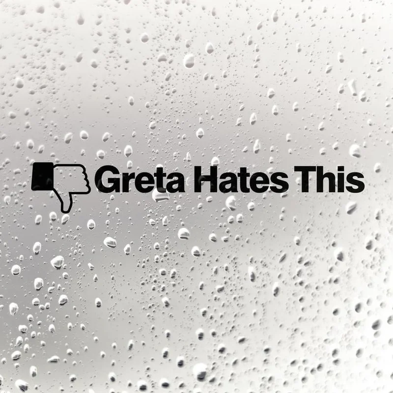 

Наклейки внешние аксессуары индивидуальная Наклейка Черная/белая Грета ненавидит эту забавную наклейку на автомобиль украшение окна 20*3 см