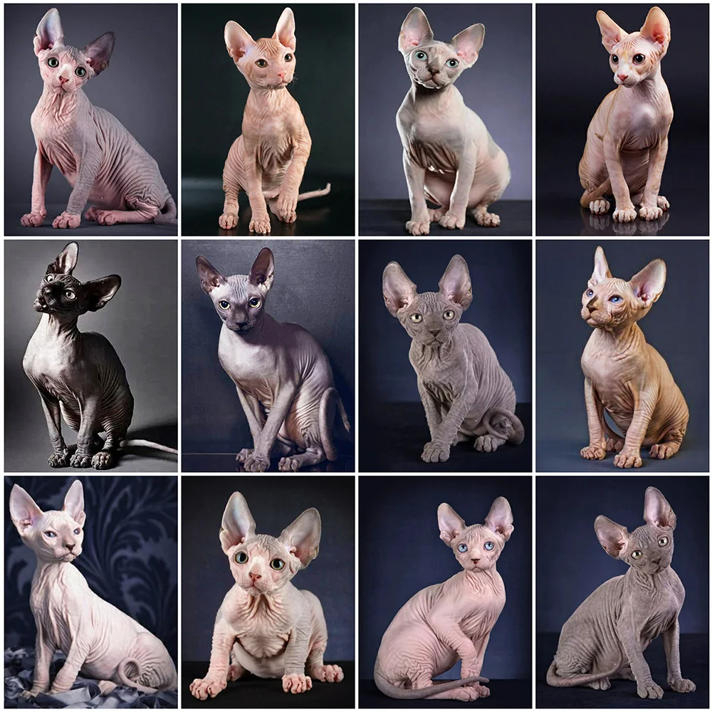 

Набор для алмазной живописи, алмазная 5D Вышивка «сделай сам», полностью квадратная, круглая, мозаика, домашний декор