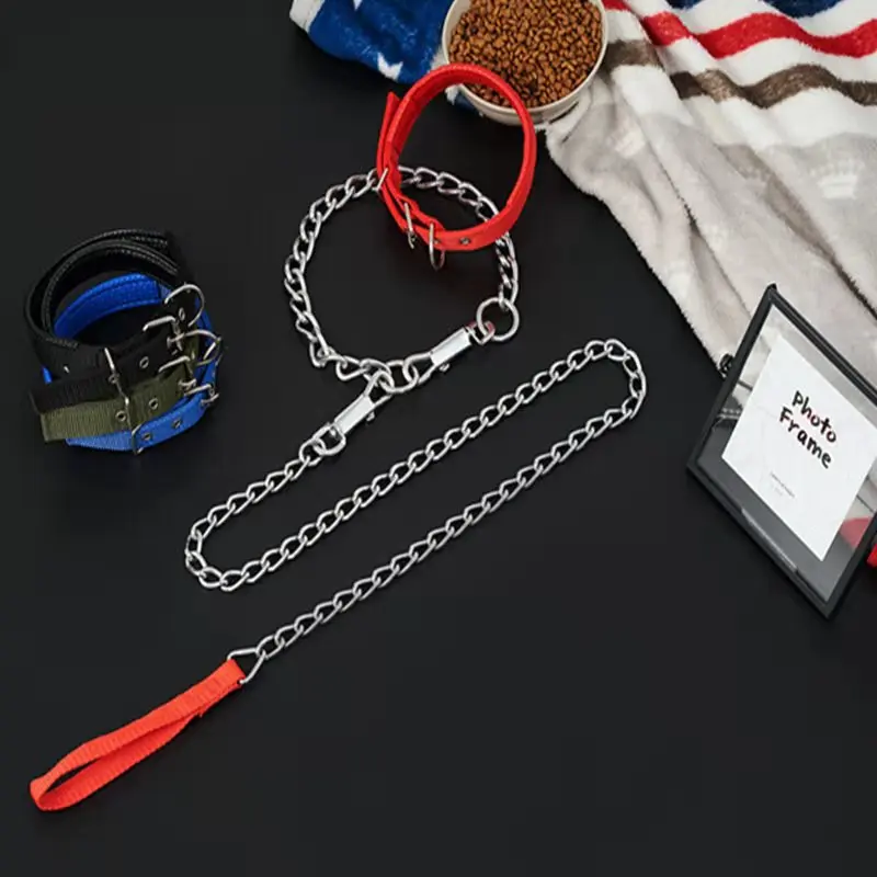 

Dog's Leash Dog's leash dog's leash dog's leash dog's leash dog's leash dog's leash
