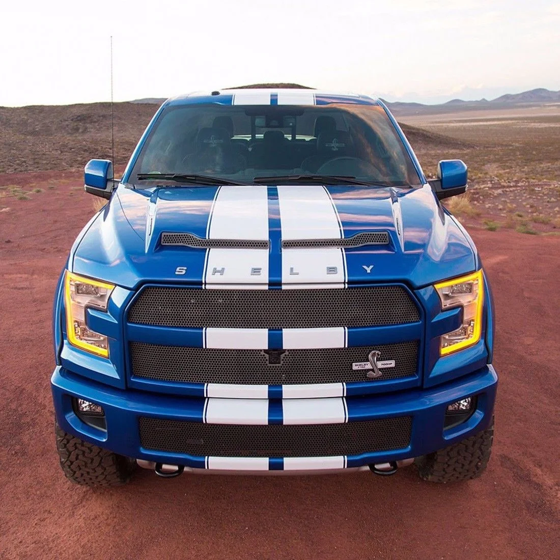 

For Graphics Decal Sticker Stripes Kit for d F 150 Raptor LED Light Fender Bumper Car Styling Hood Roof Truck