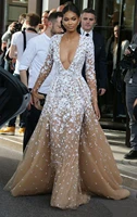 champagne tulle pageant celebrity dresses with long seeves neck lace applique 2022 winter formal evening prom gowns