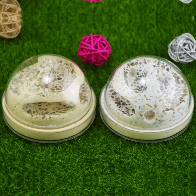 Q версия маленького бункера igloo песок гипс Смешанное гнездо размножение животных