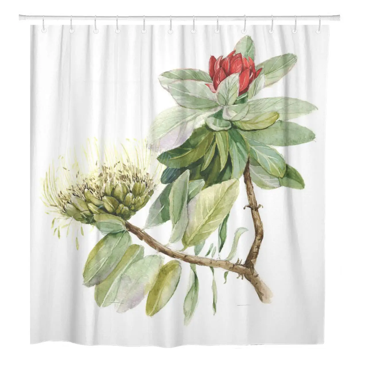 Colorful Exotic Protea Flower Sugarbushes Watercolor Botanical Green Australia Shower Curtain Waterproof 72 x Inches Set with