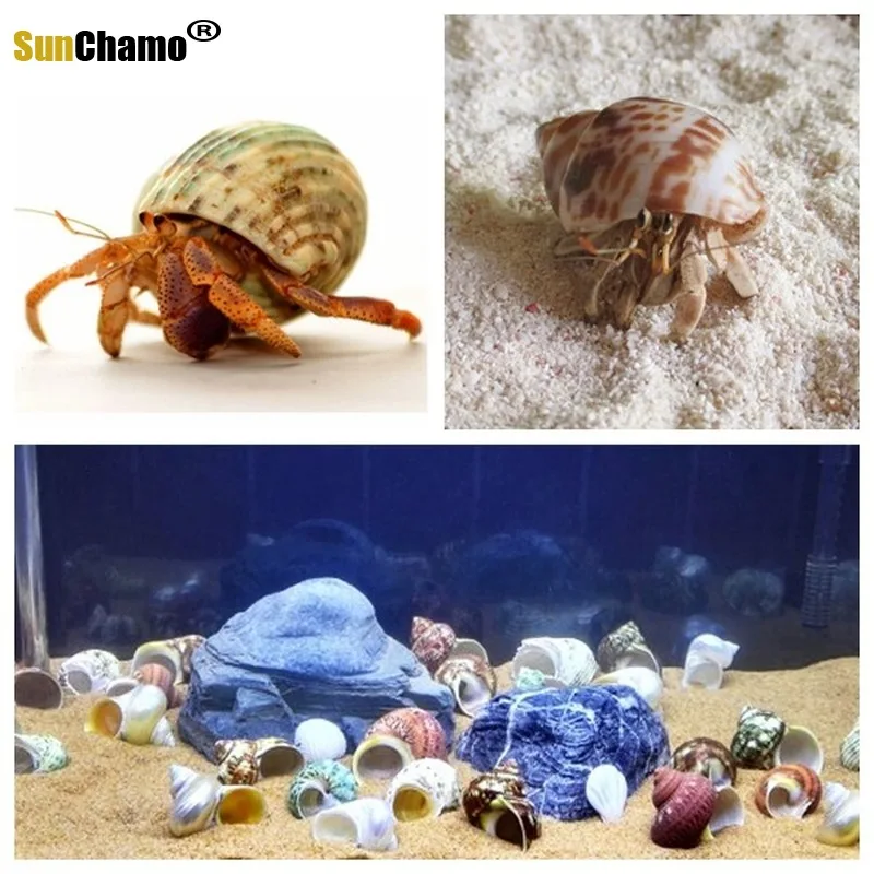 Спиральный корпус аквариум для рыб Crabs украшение аквариума натуральный раковины