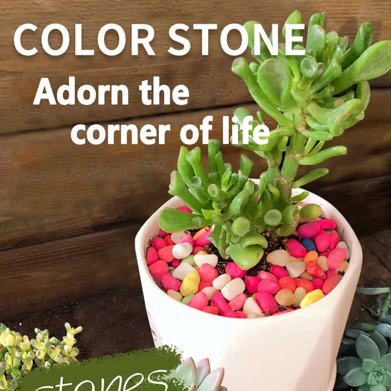 Цветочный горшок 100 г декоративный красочный камень украшение для садоводства