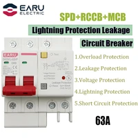 63a 2p spd residual current circuit breaker with overload overvoltage rcbo rccb with lightning protection mcb leakage protector
