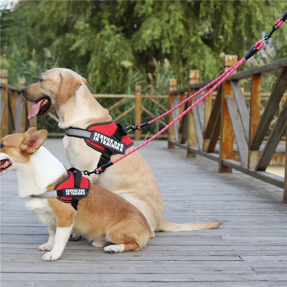 Ходьбы 2 две собаки один нейлоновый поводок не путать для собак автоматический и