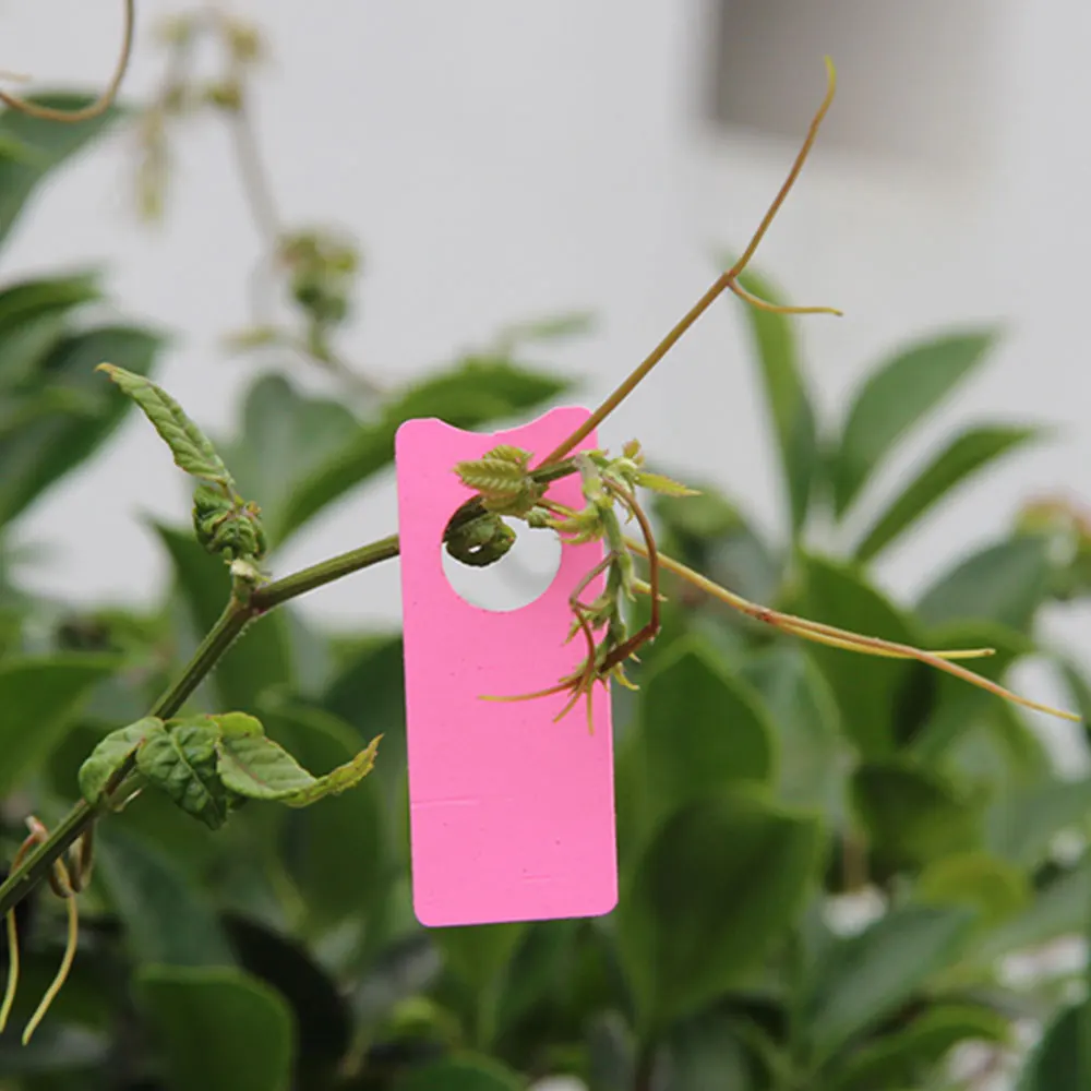 100pcs Garden Plant Hanging Label Tag Waterproof Plastic Seed Name Card Marker Sign Board Multifunction Flower Seeding | Дом и сад