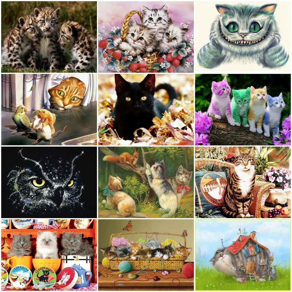 5D DIY Алмазные цветы Сова красочная Алмазная картина вышивка крестиком Кот дом