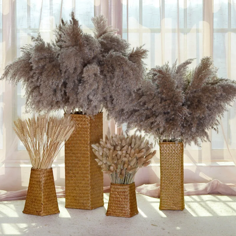 

5/10Pcs Natural Dried Reeds Bunch Small Pampas Grass DIY Rabbit Tail Grass Wedding Bouquet Photography Props Home Decoration