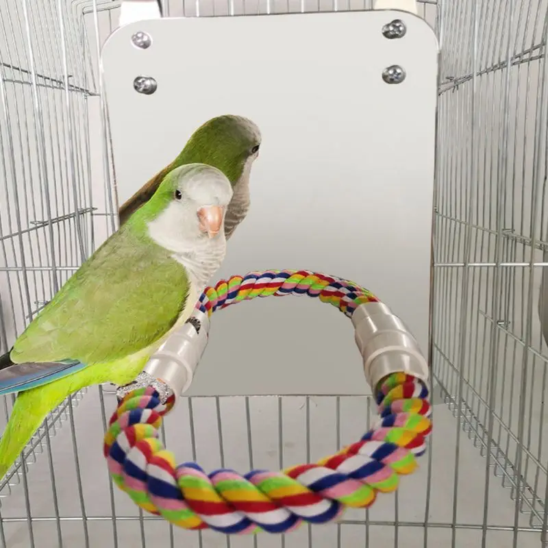 Попугай животное забавное игрушечное зеркало Cockatiel Маленькие Птицы попугаи укуса стенд для лазания