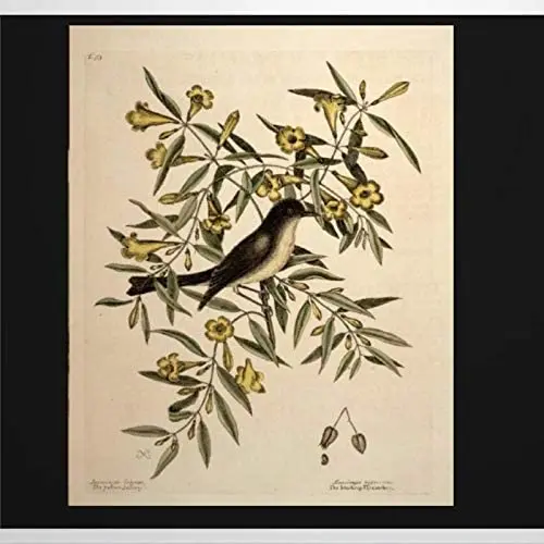 

Vintage Bird Botanical Plaque on A Branch Custom Aluminum Metal Sign