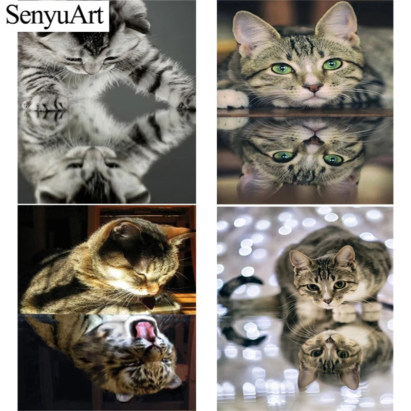 

5D алмазная живопись, полная круглая вышивка, картина, мозаика, искусство, животные, аксессуары, кошка, картина, наборы для вышивки крестиком, ...