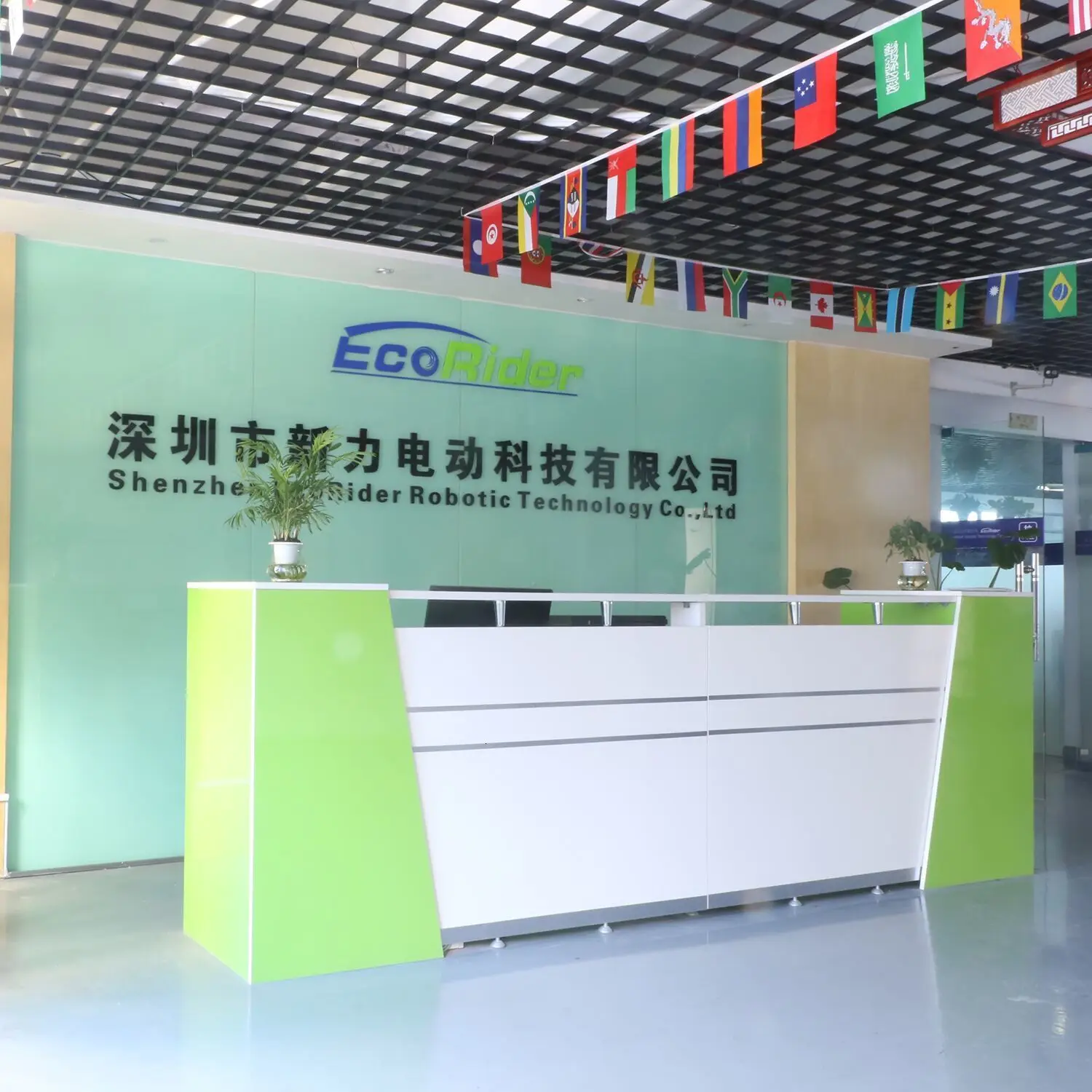 E6-7 чудесный EcoRider 250 Вт Электрический Citycoco 48 в 10 дюймов электрический мотоцикл велосипед для молодежи подарок на день рождения Молодежная игрушка посуда