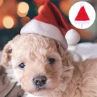 1 шт., Рождественская мини-шапка красного цвета для домашних животных, кошек, собак, Санта-Клауса, Рождественская зимняя теплая плюшевая шапка на новый год 2021, подарок для рождественской вечеринки Deocr Navidad