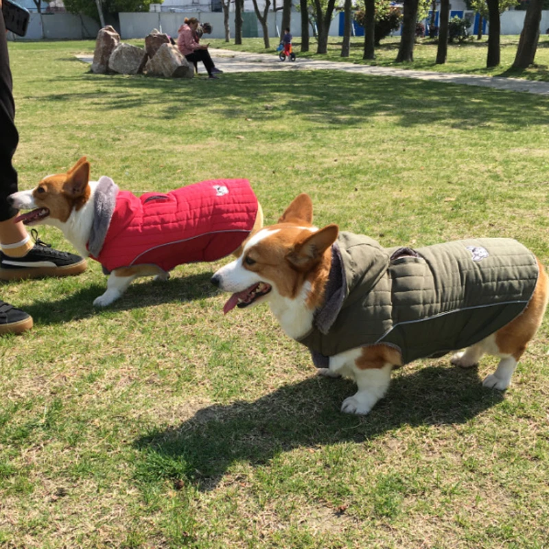 Зимняя толстовка с капюшоном для собак Большие куртки ветровка золотистого