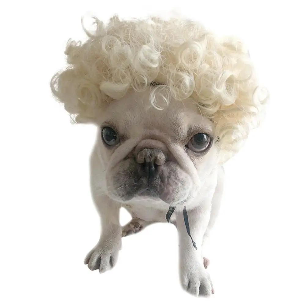 

Dog Wig Pet Costume Costume For Dogs Cat Wig Head Wear Pet Costume Cosplay Pet Hair Costumes Pets Supplies For Christmas P