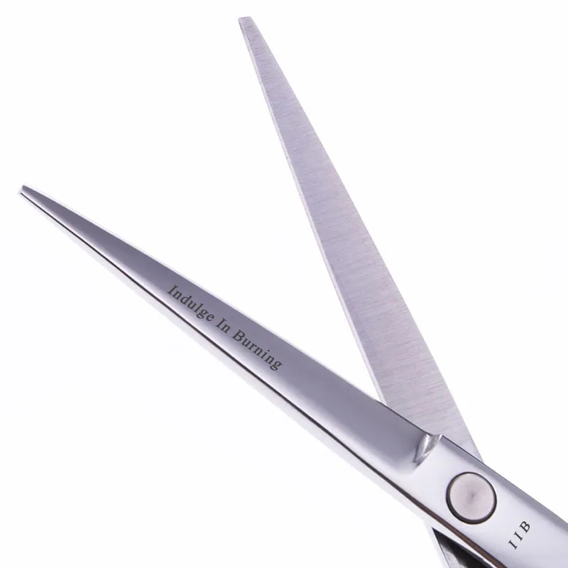 6 дюймов профессиональные ножницы из нержавеющей стали для домашних питомцев