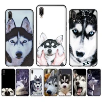 alaskan huskies dog phone case for oppo reno realme c3 6pro cover for vivo y91c y17 y19 funda capa