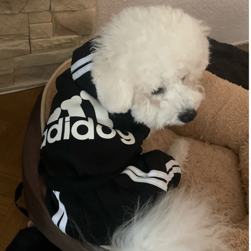 Одежда для собак толстовка с капюшоном одежда изображением померанского