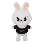 Skzoo бродячие детские плюшевые Skzoo Plushie Stray Kuds Корейская группа Skzoo плюшевые игрушки поросенок мягкие животные Дети Взрослые фанаты хобби Kawaii