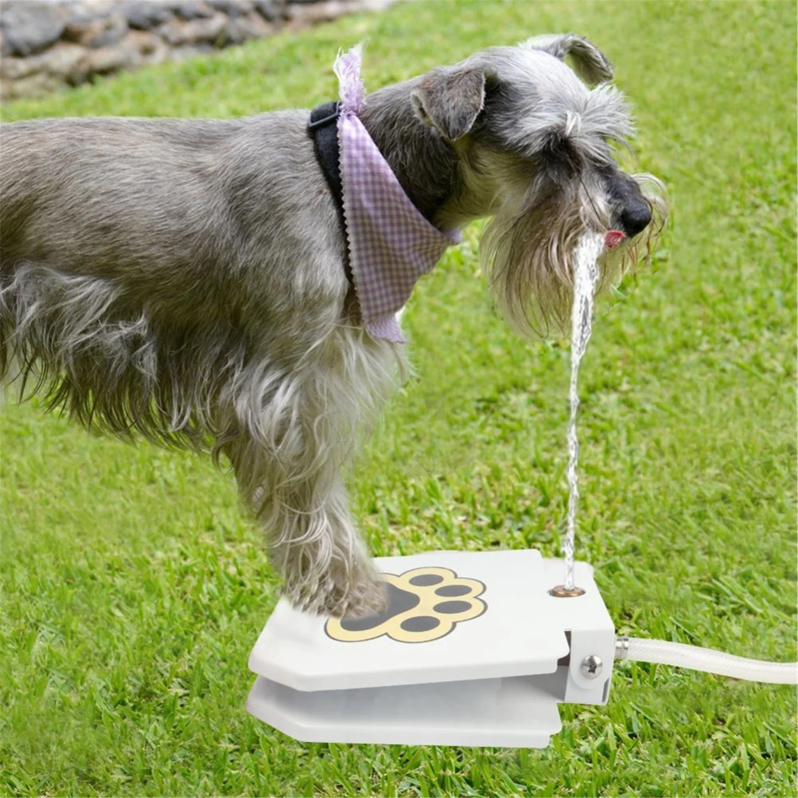 

New Novel Design Outdoor Foot-operated Dog/pet Waterer With Pipe Dog Drinking Water Fountain Step On Water Dispenser Tsl2