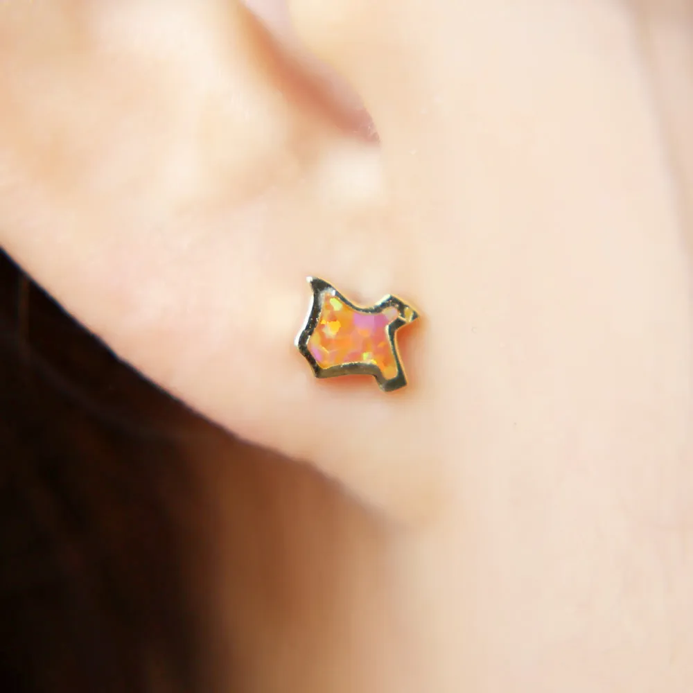 Серьги-гвоздики в виде карты Техаса серебро 100% пробы | Украшения и аксессуары