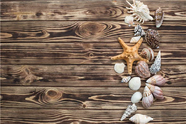 

SHENGYONGBAO Vinyl Custom Photography Backdrops Props Board Wood Planks theme Photo Studio Background 20215-23
