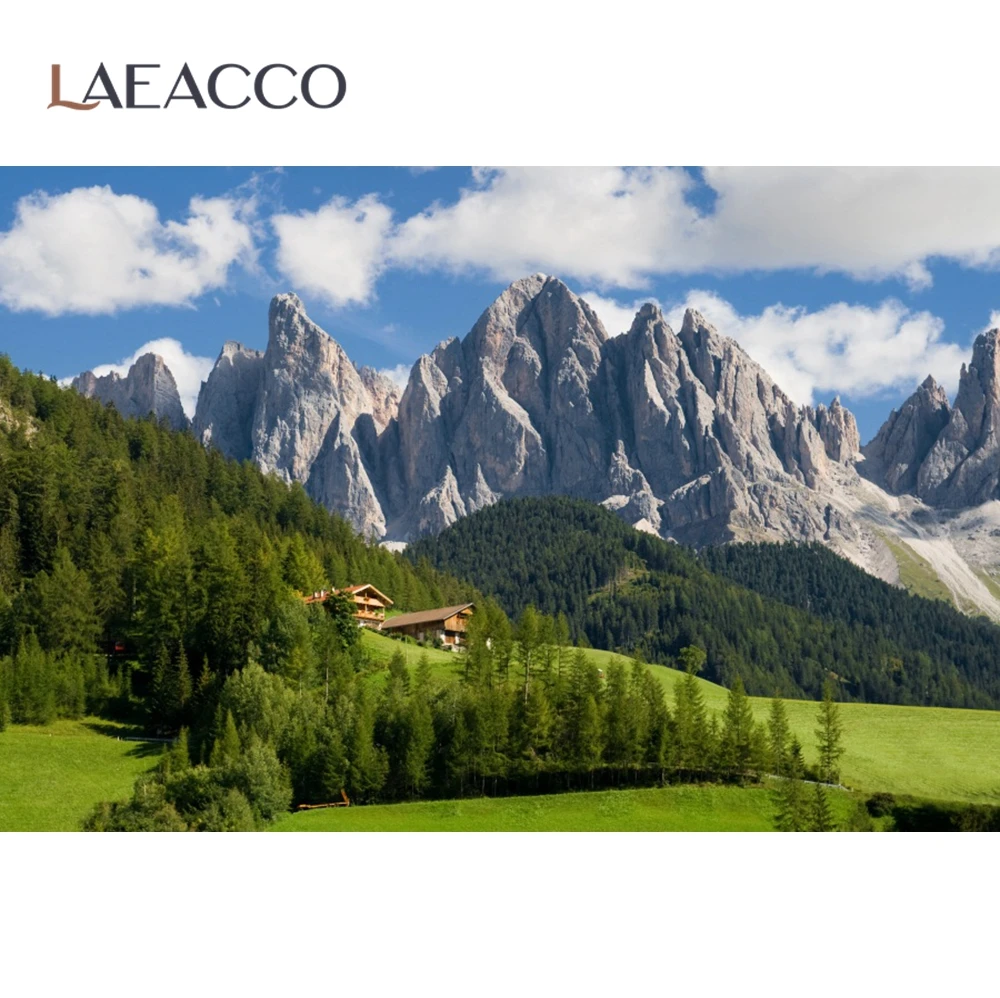 Laeacco горы зеленый лес Луг дом облачный Живописный фон для фотосъемки на заказ