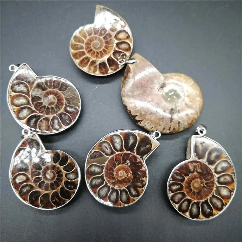 Красивый натуральный камень окаменелости аммонита морская раковина подвеска