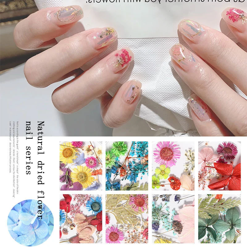 

1 Box of Mixed Fresh Natural Real Dried Flowers Gypsophila Immortal Flower Plant Nail Decoration Tips DIY Nail Tool Belt Box Hot