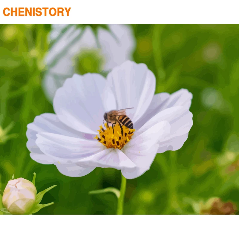Chenistory картина с цветами рамка Diy картина по номерам Современные настенные художественные изображения пронумерованы акриловая ручная роспись маслом искусство - Цвет: 190715-02