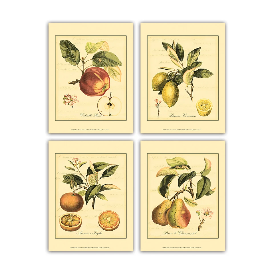 Фруктовые растения дерево Тыква Лимон Апельсин груша Искусство гостиная