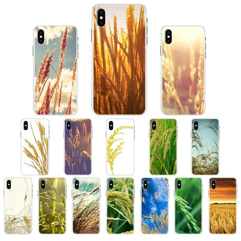 Чехол для телефона Motirunner Rice plant iphone 11 Pro Max X XS MAX 6 6s 7 8 Plus 5 5S 5SE XR SE2020|Чехлы-накладки| |