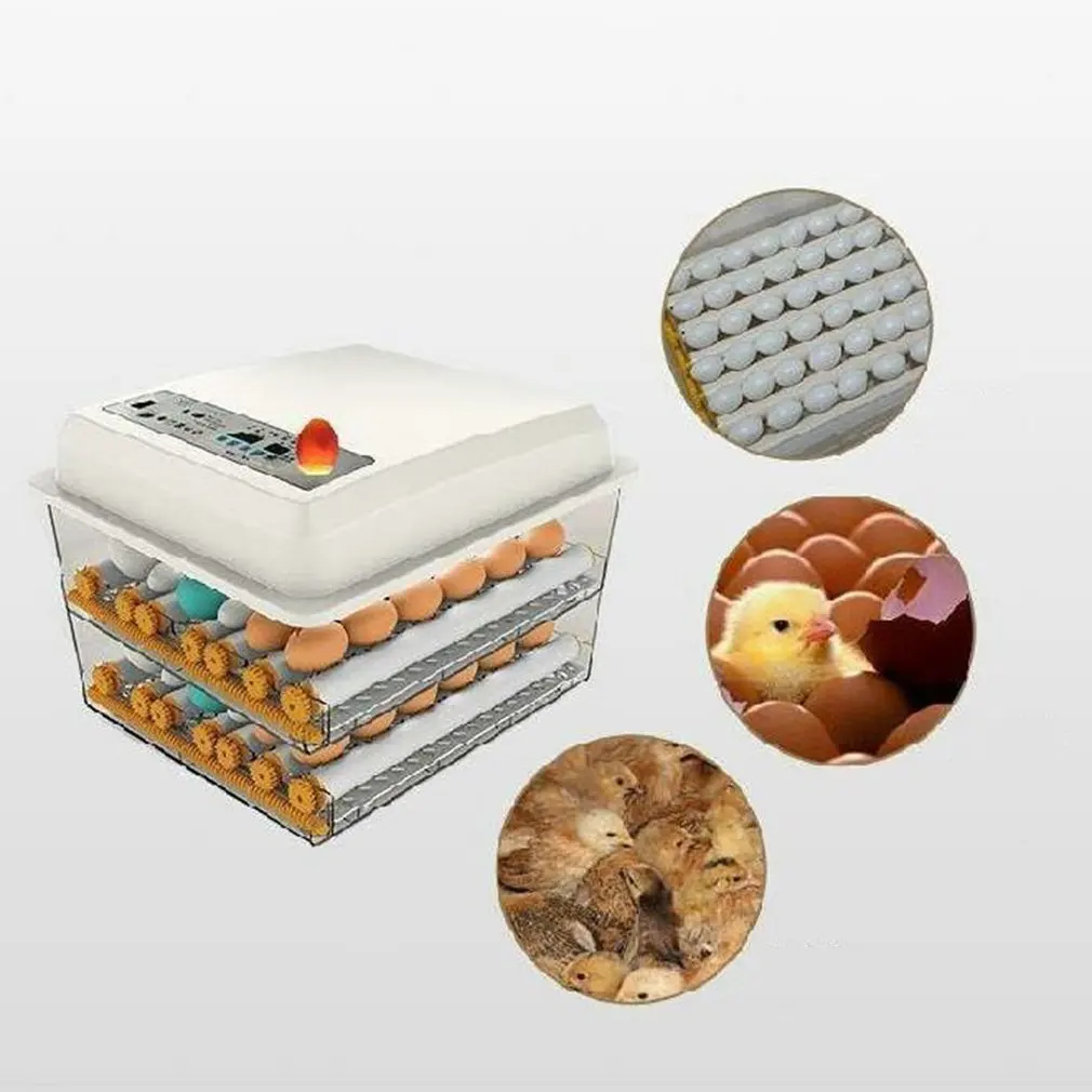 

Full-automatic Small Household 16 Eggs Incubator for Peacock Duck Goose Egg Quail Chicken 220V Incubator